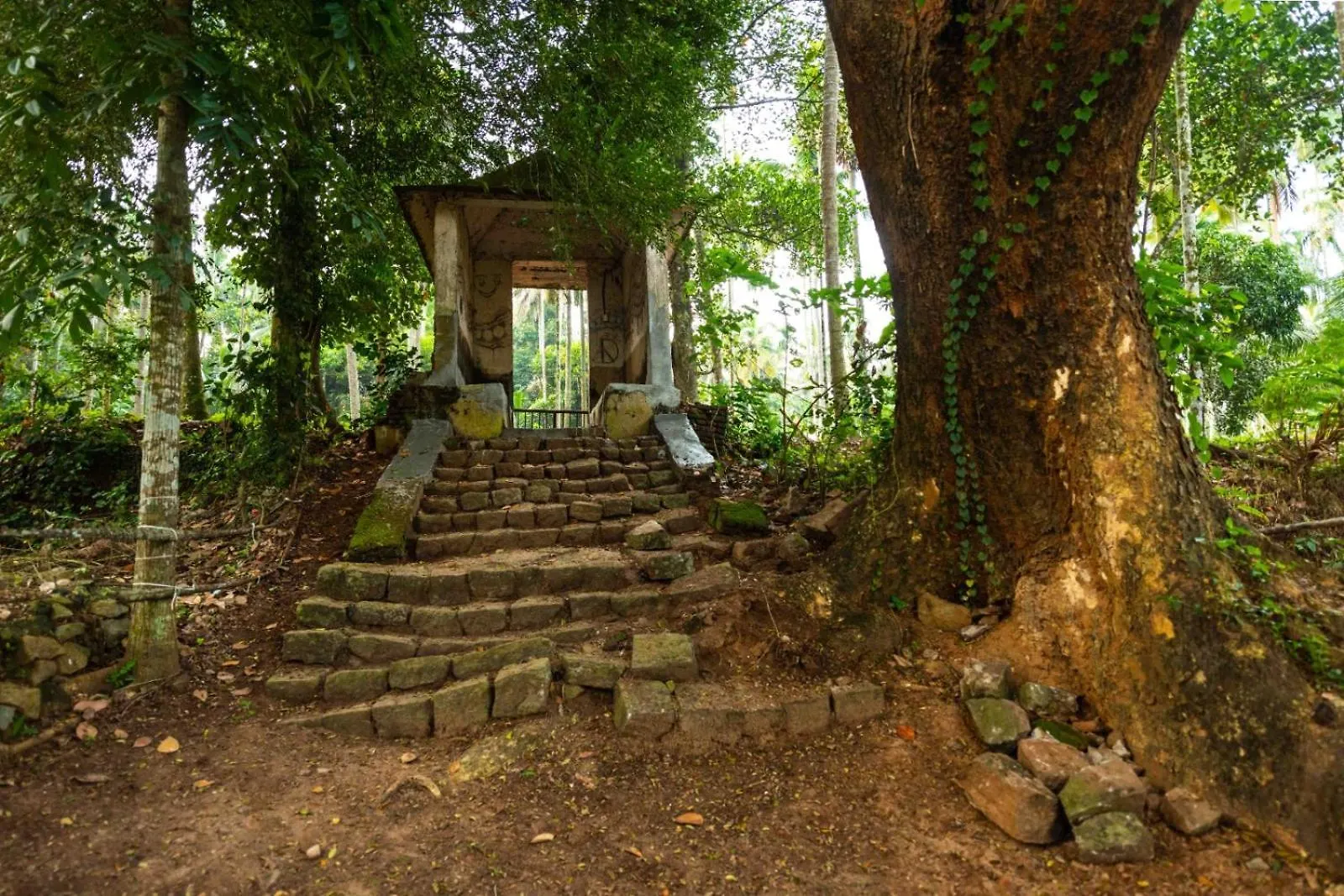 Vintage Vista Villa Lakkidi Farm stay